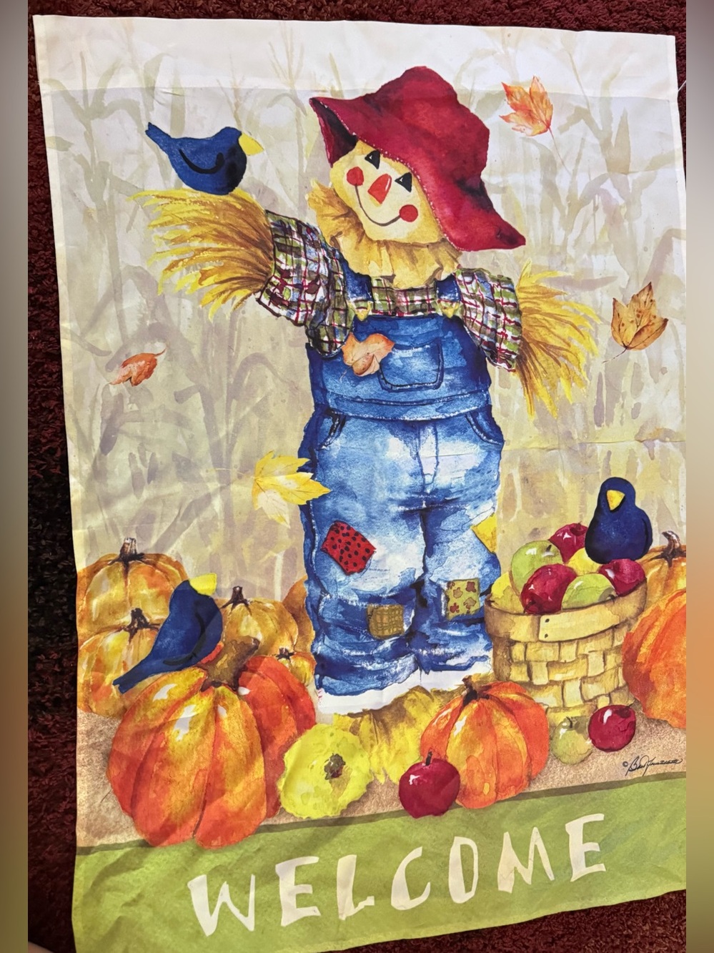 🍂🎃 Fall Scarecrow Welcome Garden Flag / Wall Decor 🎃🍂